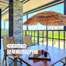 상호농장 | 태안디저트 베이커리 블루베리팜카페, 블루베리농장 체험도 가능
