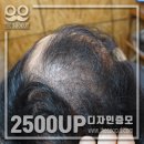 스타일아라 네이버블로그