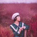 [Pink Muhly Grass] 이미지