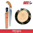 아루스 이미지