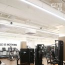 팀초이 이미지