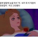 두툼한만원초밥