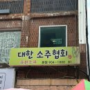 웨딩 촬영하고 와인 먹고 우리집 강쥐 너무 귀여운 일상🐶