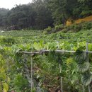 하늘과열매(주) 이미지