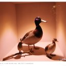 남양주 유기농박물관 이미지