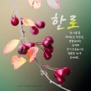 한로[寒露] 10월8일(일요일) 이미지