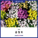 윤창호농장 네이버블로그