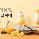 딜리버리 제주 이미지