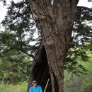 정선군 도사곡샘터 이미지