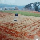 서산장의사