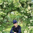 협재 맨드롱 이미지