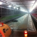 장진천길 이미지