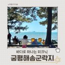 1485 | [화성/아이와가볼만한곳] 궁평해송군락지 | 네비 주소 꿀팁 + 바다 피크닉 후기