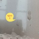 에이플러스디테일링 이미지