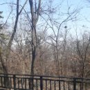 한울근린공원 이미지