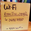 빈트리(Bean Tree)
