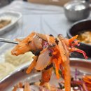 도시어부&미쓰물회 이미지