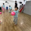 백의 태권도장 | 👶눈높이에 딱 맞춘 유아 체육 수업, 우리 아이가 달라졌어요!