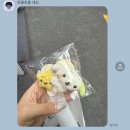 미니돌 홍대점 | 위시 미니돌 구하기 / 홍대 위드뮤 위시 키링 교환 후기