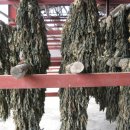 한누리농장 이미지