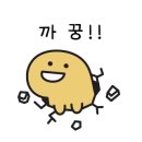 베이그릭