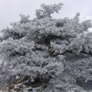 불광2-018 이미지