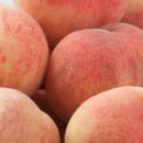 김은희농장 이미지