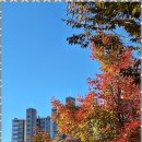 척척 행정사 사무소 이미지