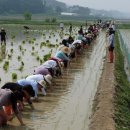 홍성 홍동중학교 이미지