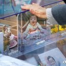공방정인 이미지