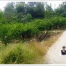 하강마을회관 이미지