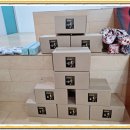 김포초등학교 이미지