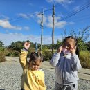 치유하소 농장으로~~~ 이미지