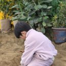 신왕리 | 아기농부 딸기따기 체험 후기 (ft. 감자캐기, 동물농장)