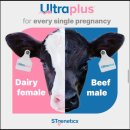 원천목장 이미지