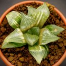 A0587 네이버블로그