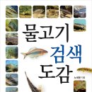 버들151 이미지