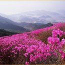 밥앤조토익학원 이미지