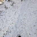 광덕산근린공원 이미지