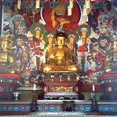 쌍계사 상록수림 이미지