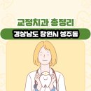 창원유앤미치과의원 | 경상남도 창원시 성주동 교정치과 총정리