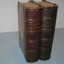 HOMEOPATHIC TEHORY AND PRACTICE OF MEDICINE 1868 edition 이미지