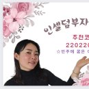 펫살롱 꽃단장 이미지