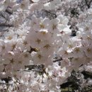 건천초등학교 이미지