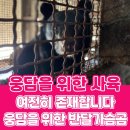 웅담2농장 이미지