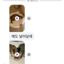 무등목장 | 인생은 야구와 게임 그 사이 어딘가