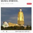 왓포 이미지