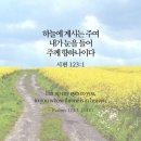 오늘의 '영어성경 사진'(799강) “내 눈을 하나님께 들어 올리세요”(시편 123편 1절) 이미지