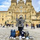 비아르떼 | 유럽 세미패키지 여행 유럽 배낭여행 추천지 스페인 순례길 경비