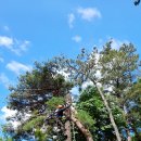 금정농장 이미지